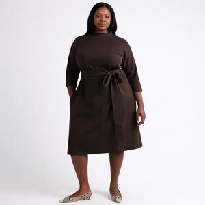 Pari Passu NWT Janice Funnel Dress Espresso Brown Midi 3/4 Sleeve‎ Size D16